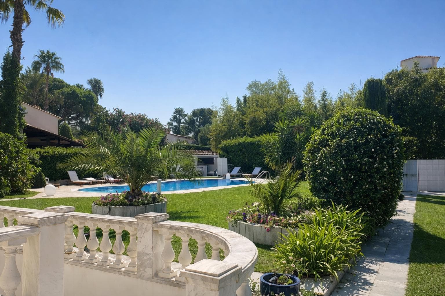 Lush Greenery and Palm Trees